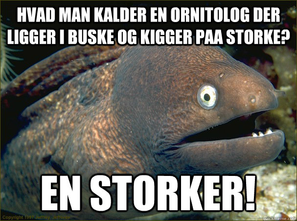 Hvad man kalder en ornitolog der ligger i buske og kigger paa storke? En storker! - Hvad man kalder en ornitolog der ligger i buske og kigger paa storke? En storker!  Bad Joke Eel