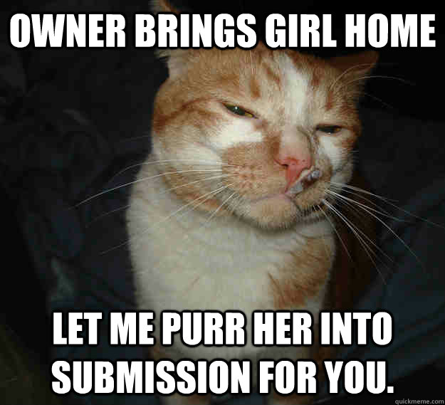 Owner brings girl home let me purr her into submission for you.  Good Guy Cat