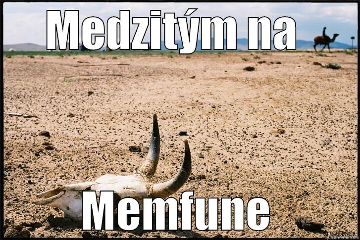 MEDZITÝM NA  MEMFUNE Misc