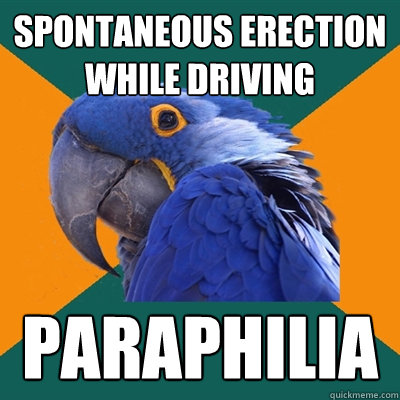 spontaneous erection while driving paraphilia  Paranoid Parrot