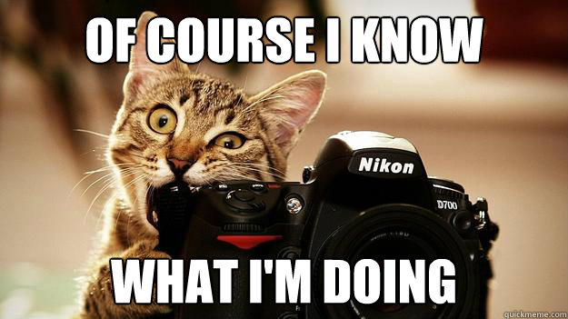 Of course I know What I'm doing - Of course I know What I'm doing  Nikon Cat