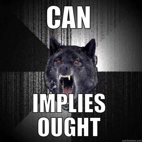 CAN IMPLIES OUGHT Insanity Wolf