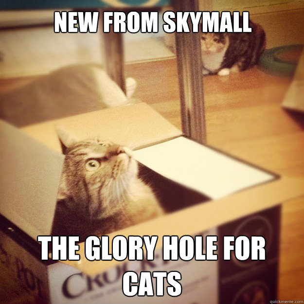 New from skymall The glory hole for cats  Cats wife