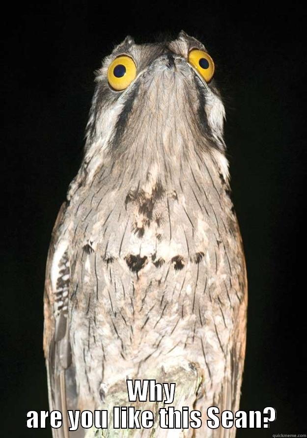  WHY ARE YOU LIKE THIS SEAN? Misc