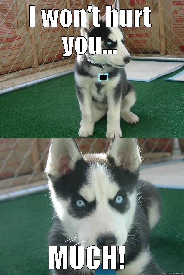 I WON'T HURT YOU... MUCH!  Insanity puppy