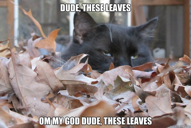 Dude, these leaves om my god dude, these leaves  