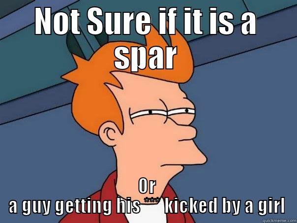 NOT SURE IF IT IS A SPAR OR A GUY GETTING HIS *** KICKED BY A GIRL Futurama Fry