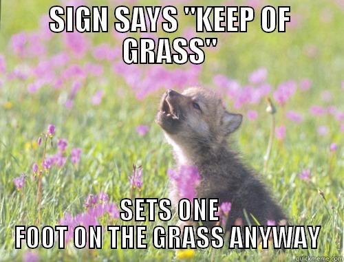 SIGN SAYS 