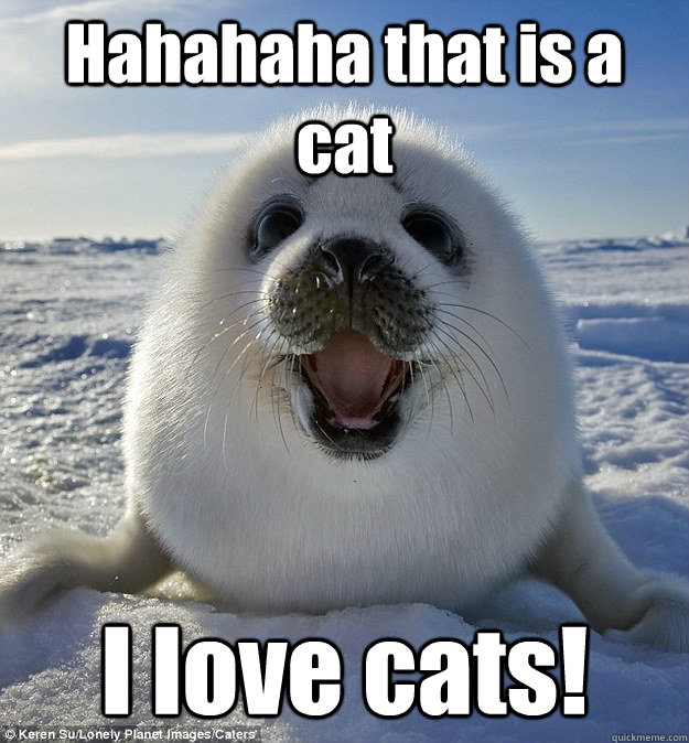 Hahahaha that is a cat I love cats!  Easily Pleased Seal