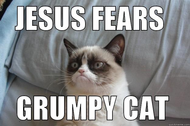 jesus fears grumpy cat - JESUS FEARS  GRUMPY CAT Grumpy Cat