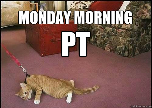 monday morning  PT   Cats are not dogs