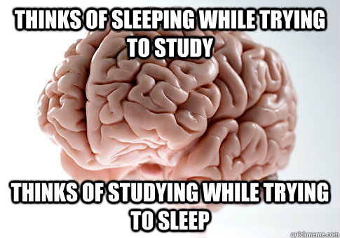 thinks of sleeping while trying to study Thinks of studying while trying to sleep - thinks of sleeping while trying to study Thinks of studying while trying to sleep  Scumbag Brain