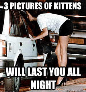 3 pictures of Kittens Will last you all night  Karma Whore