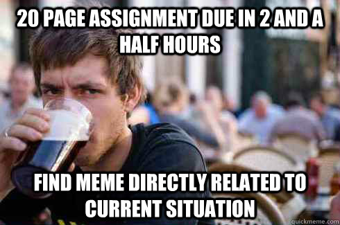 20 page assignment due in 2 and a half hours find meme directly related to current situation  Lazy College Senior