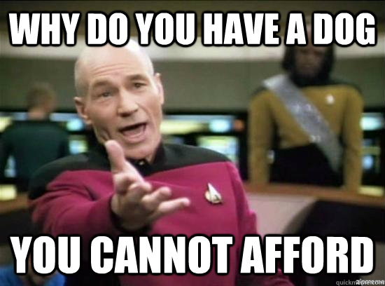 why do you have a dog you cannot afford  Annoyed Picard HD