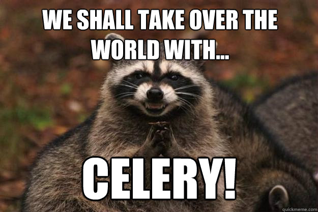 We shall take over the world with... Celery!  Evil Plotting Raccoon