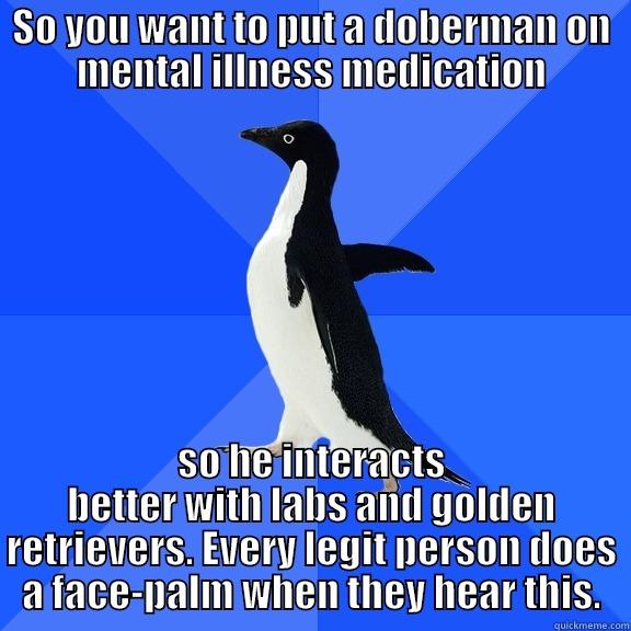 SO YOU WANT TO PUT A DOBERMAN ON MENTAL ILLNESS MEDICATION SO HE INTERACTS BETTER WITH LABS AND GOLDEN RETRIEVERS. EVERY LEGIT PERSON DOES A FACE-PALM WHEN THEY HEAR THIS. Socially Awkward Penguin