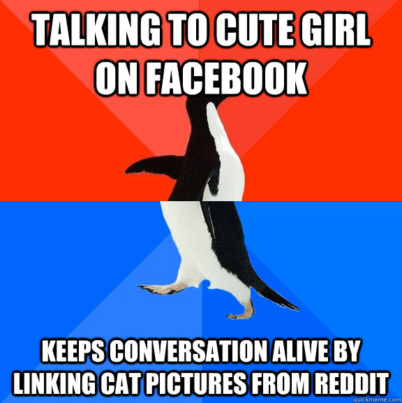 Talking to cute girl on facebook Keeps conversation alive by linking cat pictures from reddit   Socially Awesome Awkward Penguin