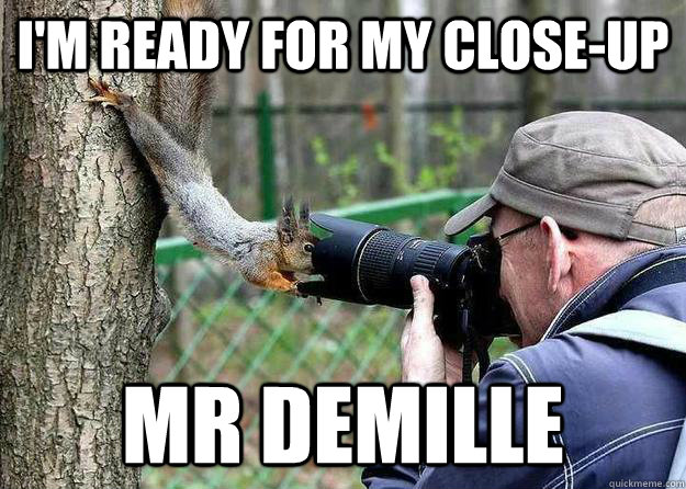 I'm ready for my close-up mr demille  Close-up