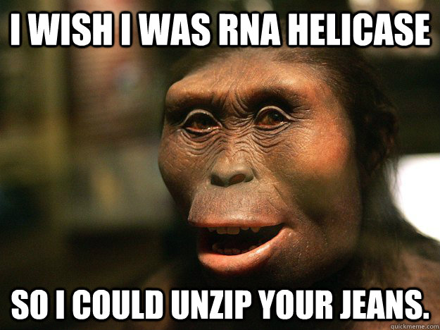 I wish I was RNA helicase  So i could unzip your jeans.  