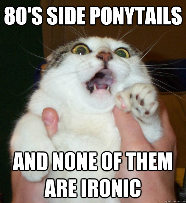 80's side ponytails and none of them are ironic  Scared Cat
