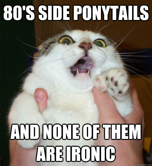 Scared Cat memes | quickmeme