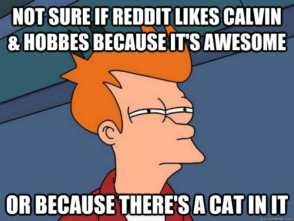 Not sure if Reddit likes calvin & hobbes because it's awesome Or because there's a cat in it - Not sure if Reddit likes calvin & hobbes because it's awesome Or because there's a cat in it  Futurama Fry