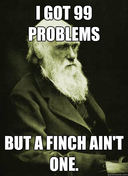 I Got 99 problems but a finch ain't one. - I Got 99 problems but a finch ain't one.  Darwin Problems