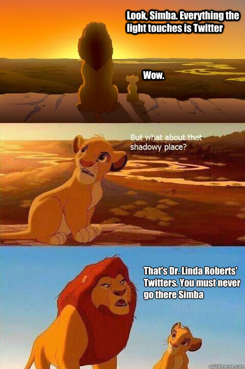Look, Simba. Everything the light touches is Twitter Wow. That's Dr. Linda Roberts' Twitters. You must never go there Simba   Lion King Shadowy Place