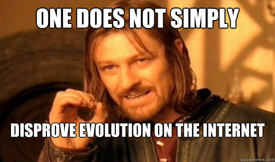One Does Not Simply Disprove evolution on the internet  Boromir