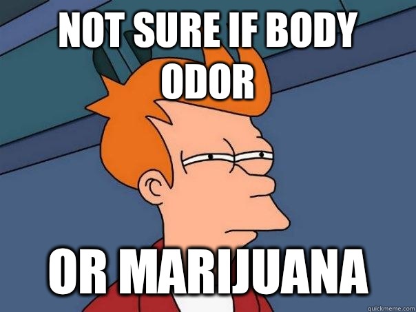 Not sure if body odor Or marijuana  Futurama Fry
