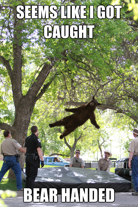 Seems like I got caught Bear handed  Boulder Bear