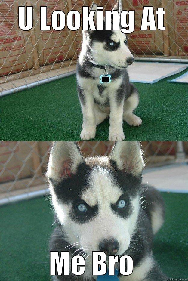 U LOOKING AT ME BRO Insanity puppy