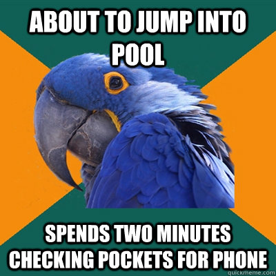 about to jump into pool spends two minutes checking pockets for phone  Paranoid Parrot