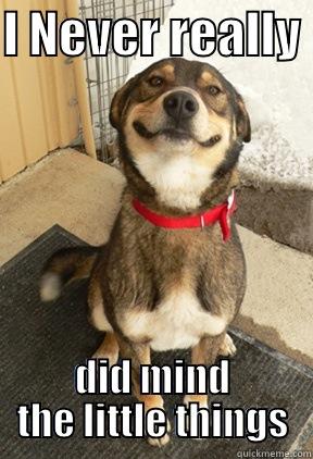 I NEVER REALLY  DID MIND THE LITTLE THINGS Good Dog Greg