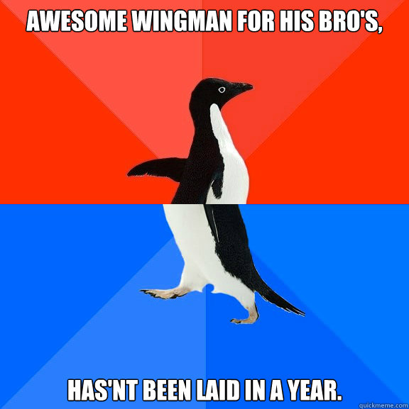 awesome wingman for his bro's, has'nt been laid in a year.  Socially Awesome Awkward Penguin