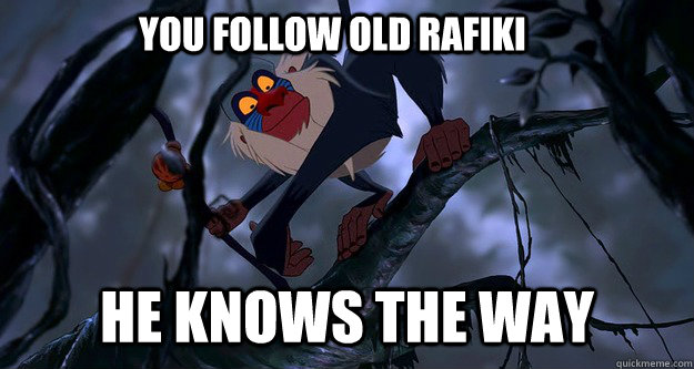 You follow old Rafiki he knows the way  