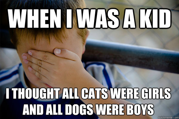 When I was a kid I thought all cats were girls 
and all dogs were boys - When I was a kid I thought all cats were girls 
and all dogs were boys  Confession kid
