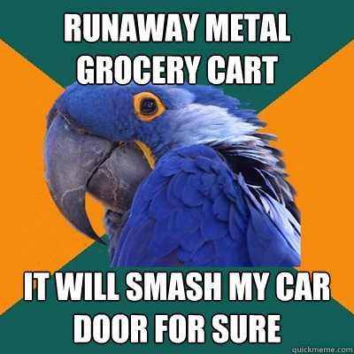 Runaway metal grocery cart It will smash my car door for sure  Paranoid Parrot