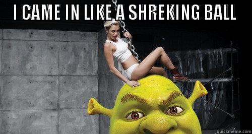 I CAME IN LIKE A SHREKING BALL  Misc