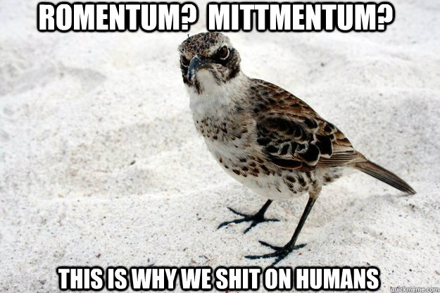 Romentum?  MittMentum? this is why we shit on humans  Curmudgeon Bird