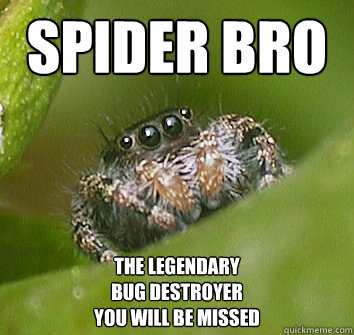 Spider Bro The legendary
bug destroyer
you will be missed - Spider Bro The legendary
bug destroyer
you will be missed  Misunderstood Spider