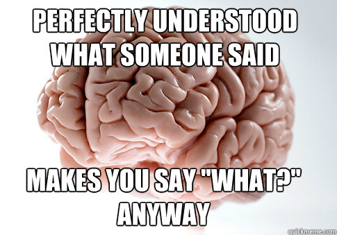 PERFECTLY UNDERSTOOD WHAT SOMEONE SAID MAKES YOU SAY 