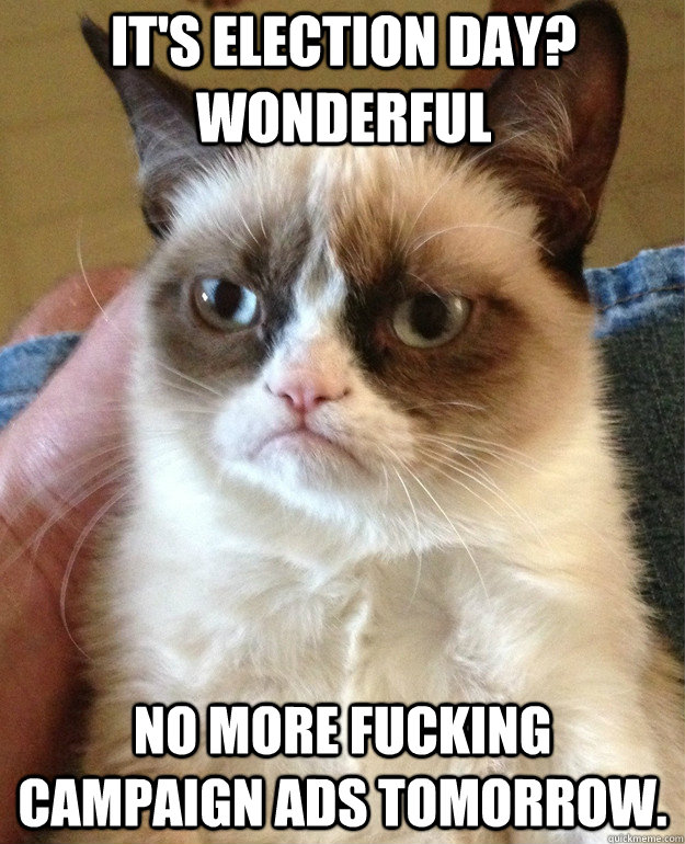It's Election Day? wonderful no more fucking campaign ads tomorrow.  Grumpy Cat