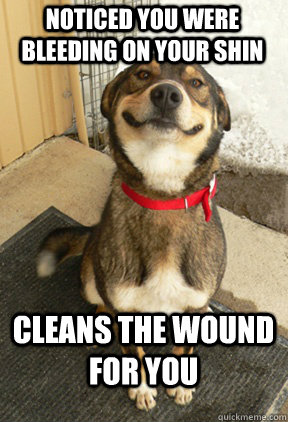 Noticed you were bleeding on your shin cleans the wound for you  Good Dog Greg