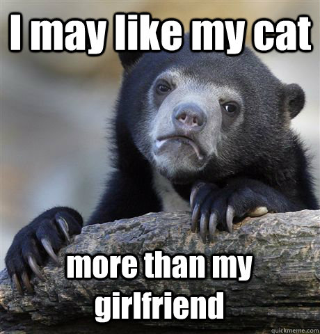 I may like my cat more than my girlfriend  Confession Bear