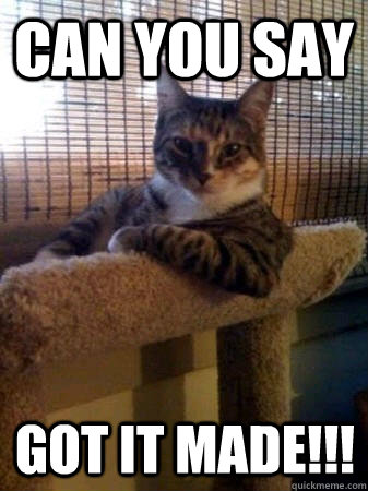 Can you say GOT IT MADE!!!  The Most Interesting Cat in the World