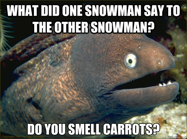 What did one snowman say to the other snowman? Do you smell carrots?  Bad Joke Eel