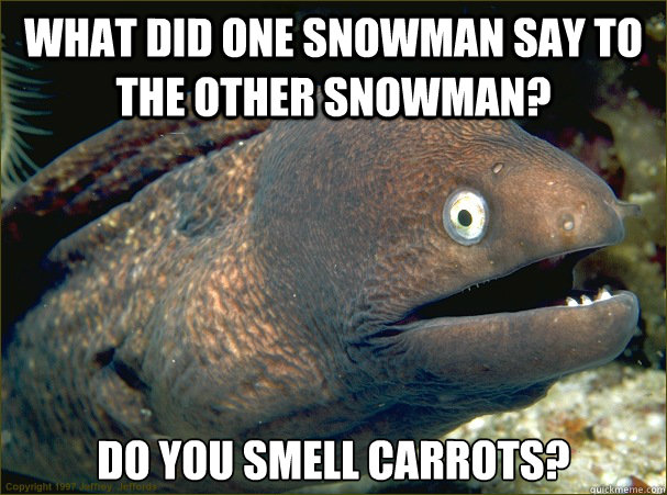 What did one snowman say to the other snowman? Do you smell carrots?  Bad Joke Eel