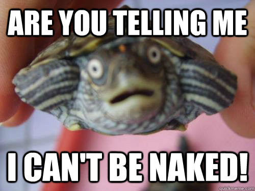 Are you telling me I can't be naked!  Surprised Turtle